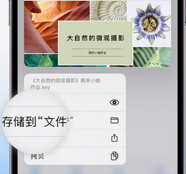 米东apple维修中心分享iPhone文件应用中存储和找到下载文件