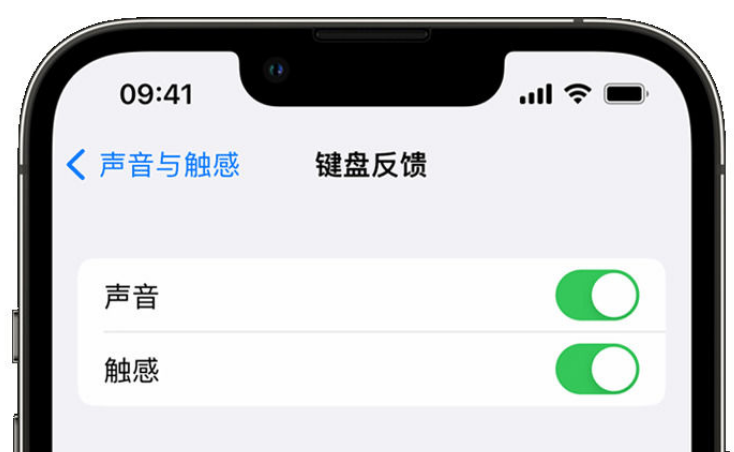 米东苹果手机维修分享iPhone 14触感键盘使用方法 