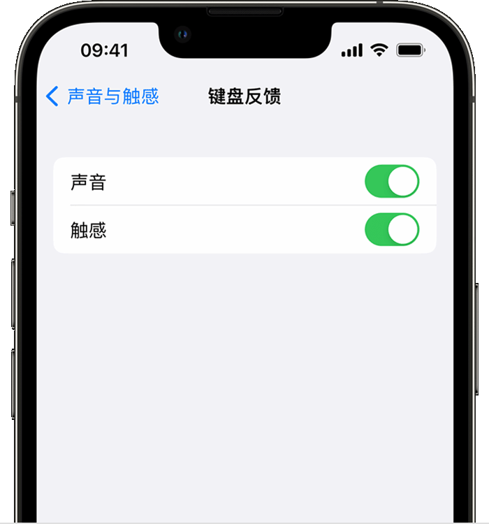 米东苹果14维修店分享如何在 iPhone 14 机型中使用触感键盘 