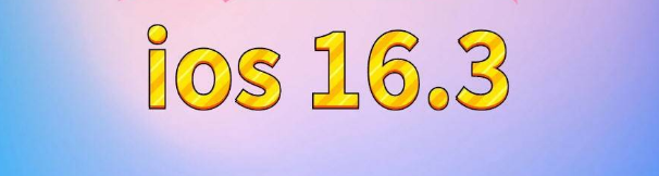 米东苹果服务网点分享苹果iOS16.3升级反馈汇总 