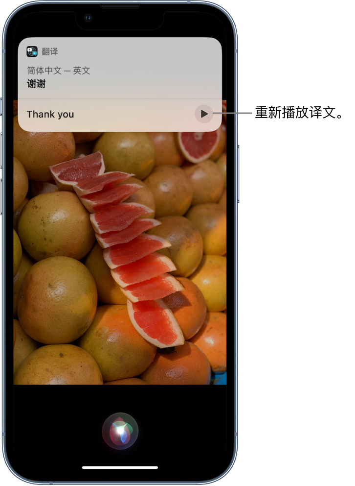 米东苹果14维修分享 iPhone 14 机型中使用 Siri：了解 Siri 能帮你做什么 