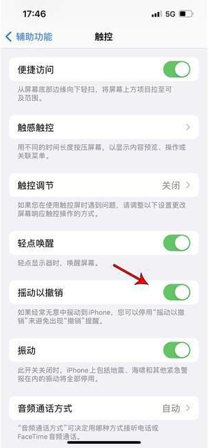 米东苹果手机维修分享iPhone手机如何设置摇一摇删除文字 