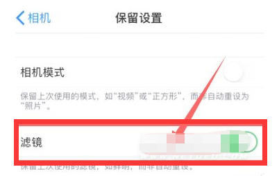 米东苹果13维修分享iPhone13拍照有绿点是怎么回事 