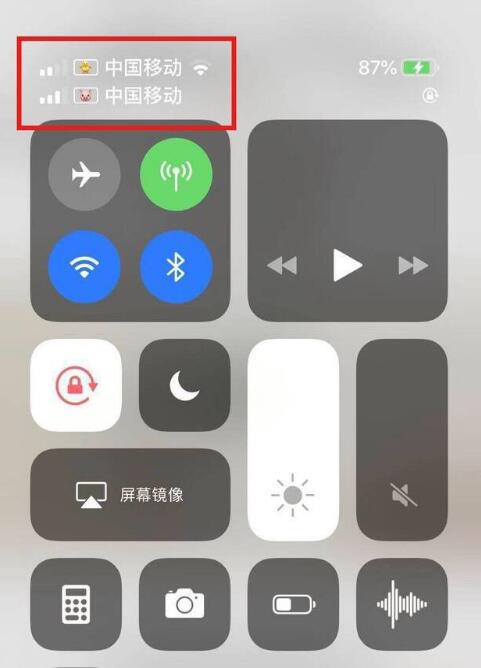 米东苹果手机维修分享为 iPhone 12 双卡设置标签 